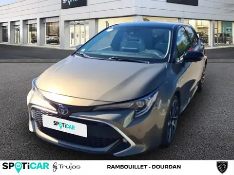 Used TOYOTA COROLLA Petrol 2019 Ad 