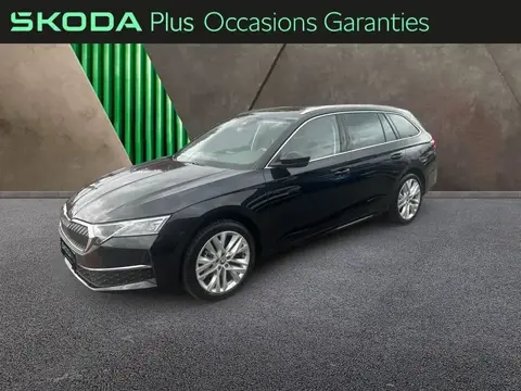 Used SKODA OCTAVIA Petrol 2024 Ad 