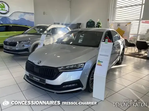 Annonce SKODA OCTAVIA Diesel 2023 d'occasion 