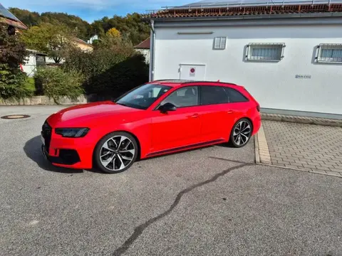 Used AUDI RS4 Petrol 2019 Ad 