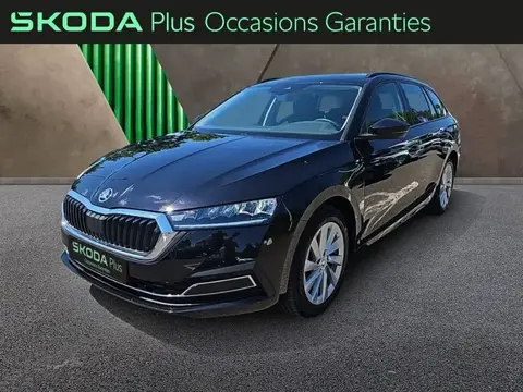 Used SKODA OCTAVIA Diesel 2023 Ad 