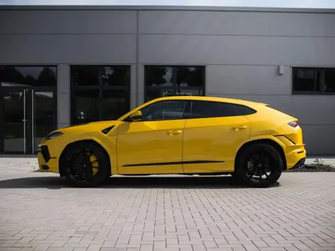 Used LAMBORGHINI URUS Petrol 2023 Ad 