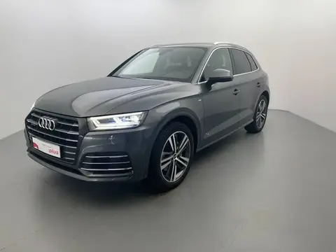 Used AUDI Q5 Petrol 2024 Ad 