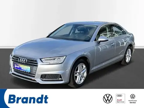 Used AUDI A4 Diesel 2019 Ad 