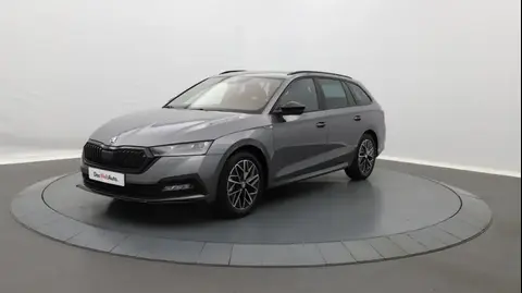 Annonce SKODA OCTAVIA Essence 2024 d'occasion 