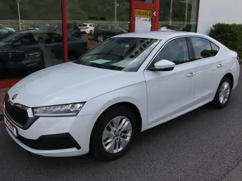 Used SKODA OCTAVIA Diesel 2023 Ad 