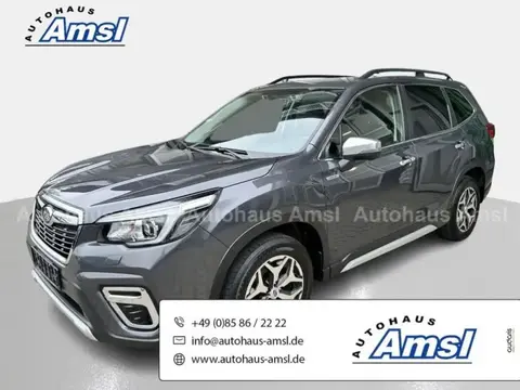 Used SUBARU FORESTER Petrol 2020 Ad 