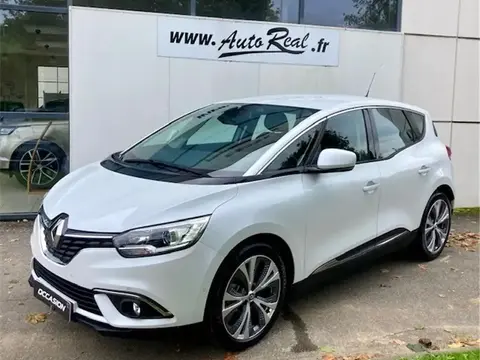 Annonce RENAULT SCENIC Diesel 2017 d'occasion 