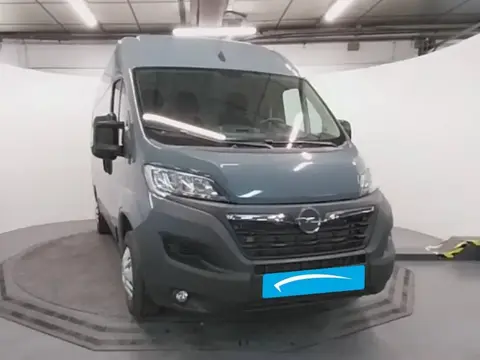 Used OPEL MOVANO Diesel 2022 Ad 