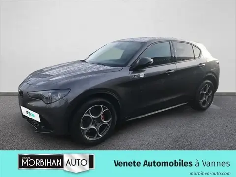 Used ALFA ROMEO STELVIO Diesel 2023 Ad 