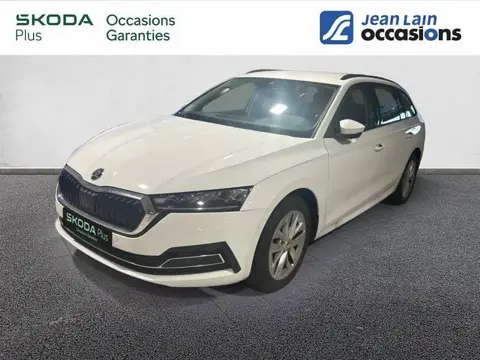 Used SKODA OCTAVIA Diesel 2023 Ad 