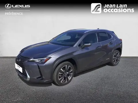 Annonce LEXUS UX Essence 2021 d'occasion 