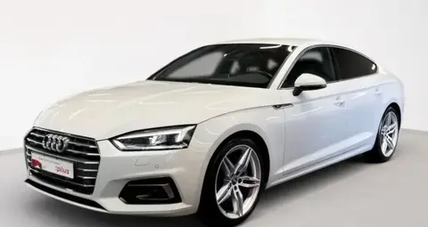 Used AUDI A5 Diesel 2020 Ad 