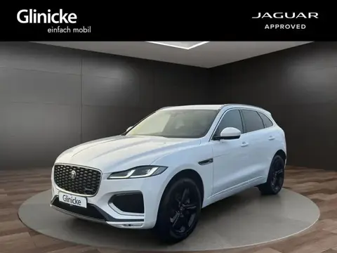 Used JAGUAR F-PACE Hybrid 2023 Ad 