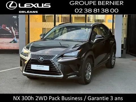 Used LEXUS NX Petrol 2020 Ad 