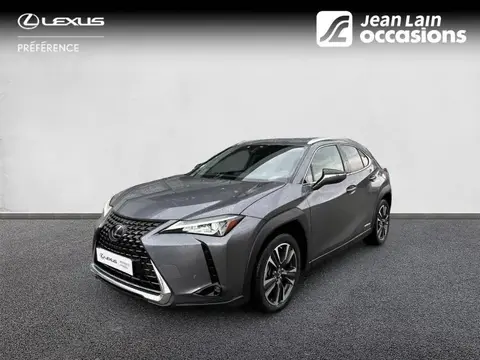 Annonce LEXUS UX Essence 2021 d'occasion 