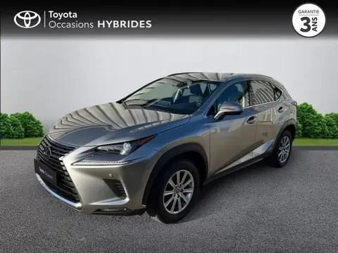 Used LEXUS NX Petrol 2019 Ad 