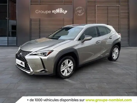 Annonce LEXUS UX Non renseigné 2021 d'occasion 