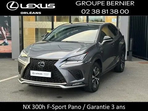 Used LEXUS NX Petrol 2020 Ad 