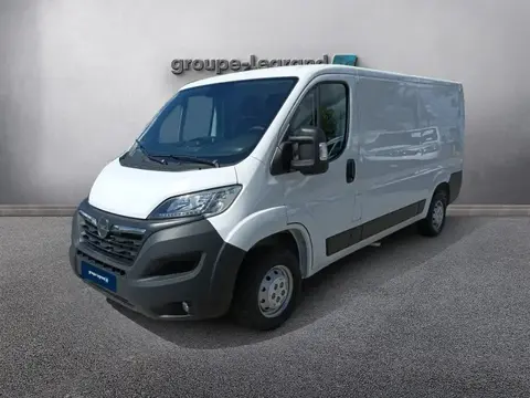 Used OPEL MOVANO Diesel 2024 Ad 