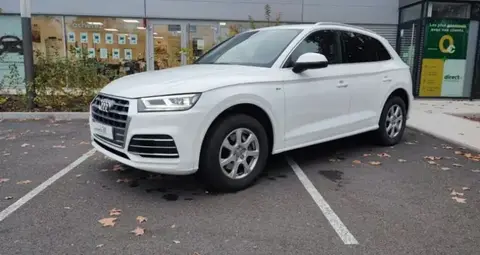 Used AUDI Q5 Diesel 2019 Ad 