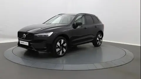 Used VOLVO XC60 Hybrid 2023 Ad 