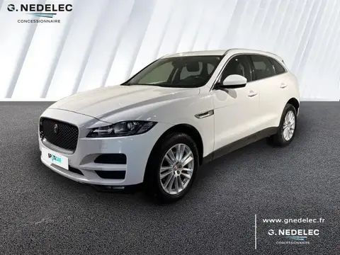 Used JAGUAR F-PACE Diesel 2018 Ad 