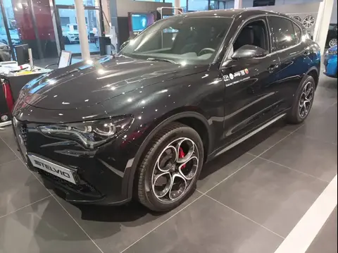 Annonce ALFA ROMEO STELVIO Diesel 2023 d'occasion 