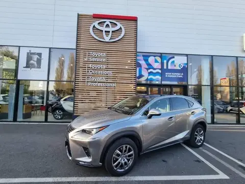 Used LEXUS NX Petrol 2021 Ad 