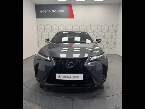 Annonce LEXUS UX Hybride 2024 d'occasion 