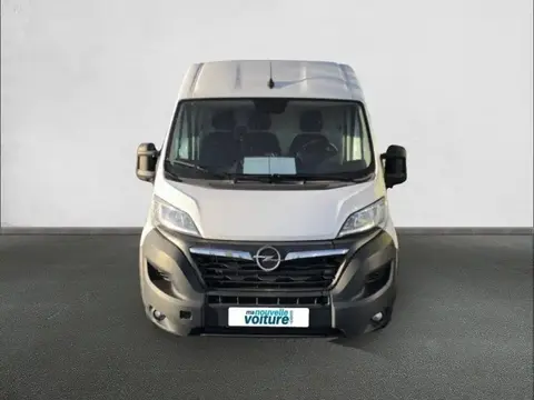 Annonce OPEL MOVANO Diesel 2022 d'occasion 