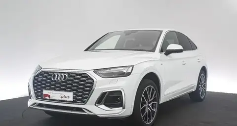 Used AUDI Q5 Hybrid 2021 Ad 