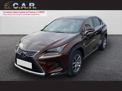 Used LEXUS NX Petrol 2018 Ad 