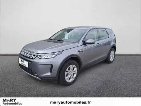 Used LAND ROVER DISCOVERY Petrol 2022 Ad 