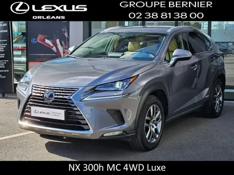 Used LEXUS NX Petrol 2019 Ad 