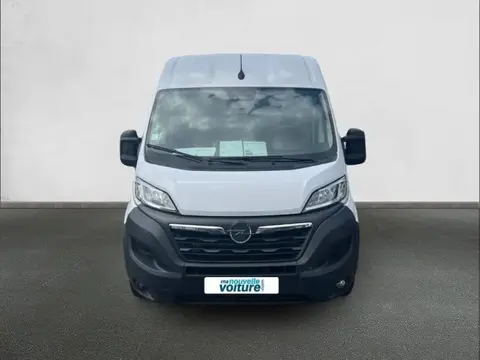 Used OPEL MOVANO Diesel 2022 Ad 