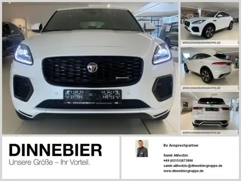 Used JAGUAR E-PACE Diesel 2023 Ad 