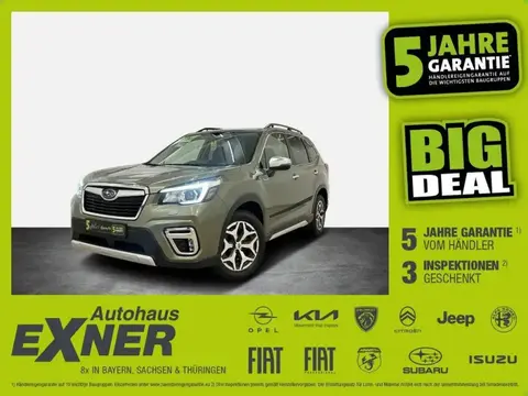 Annonce SUBARU FORESTER Essence 2019 d'occasion 