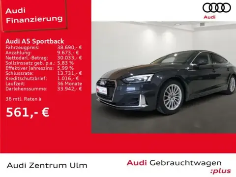 Used AUDI A5 Diesel 2023 Ad 