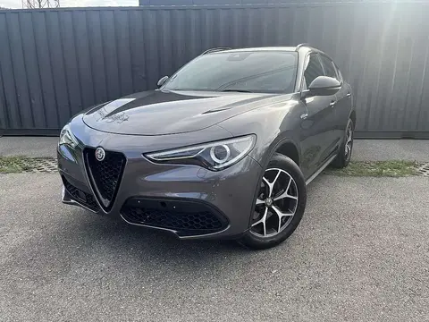 Used ALFA ROMEO STELVIO Petrol 2020 Ad 