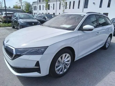 Annonce SKODA OCTAVIA Essence 2024 d'occasion 