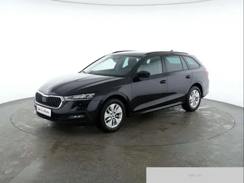 Used SKODA OCTAVIA Diesel 2021 Ad 