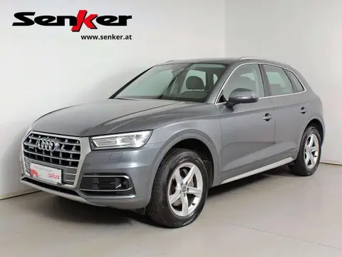 Used AUDI Q5 Diesel 2019 Ad 