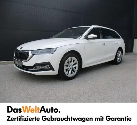 Annonce SKODA OCTAVIA Diesel 2024 d'occasion 