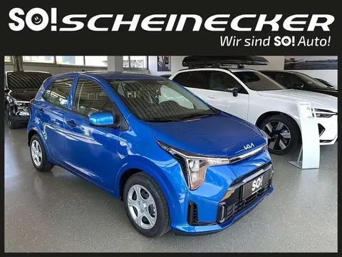 Used KIA PICANTO Petrol 2024 Ad 