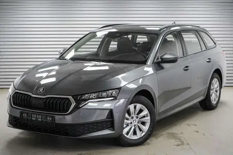 Used SKODA OCTAVIA Petrol 2024 Ad 