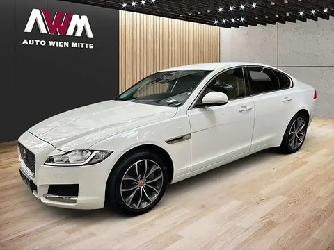 Used JAGUAR XF Diesel 2018 Ad 