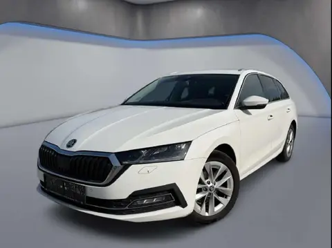 Annonce SKODA OCTAVIA Diesel 2021 d'occasion 