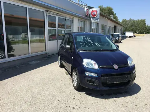 Annonce FIAT PANDA Essence 2020 d'occasion 