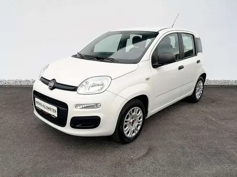 Used FIAT PANDA Petrol 2020 Ad 